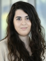 סתיו