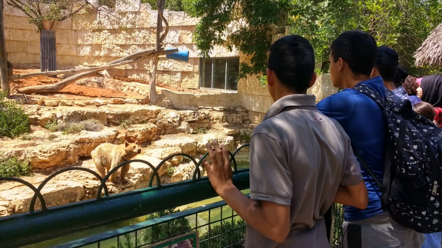טיול של שכנות טובה לגן החיות התנכ&quot;י