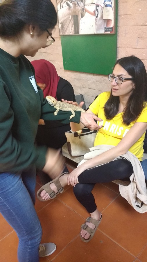 טיול של שכנות טובה לגן החיות התנכ&quot;י