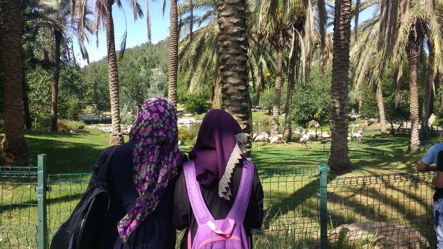 טיול של שכנות טובה לגן החיות התנכ&quot;י